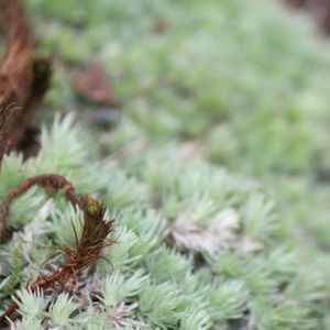 Meet your Posher, I love